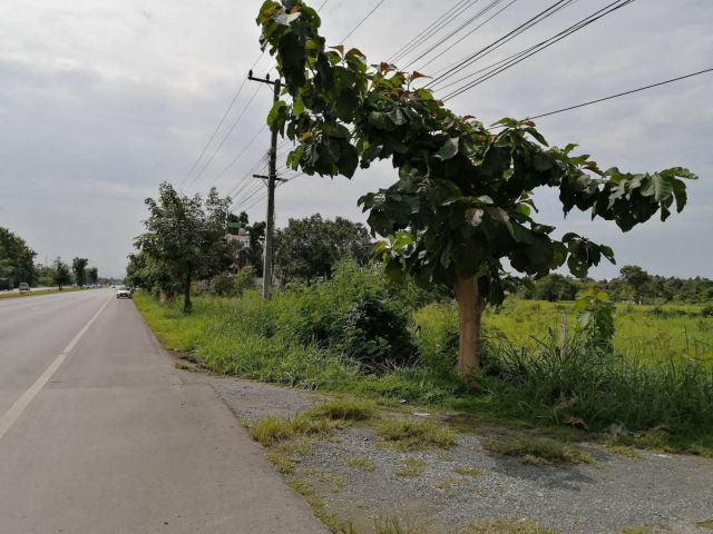 ขายที่ดินติดถนนเชียงใหม่ เชียงรายหน้ากว้างเพียง 100เมตร