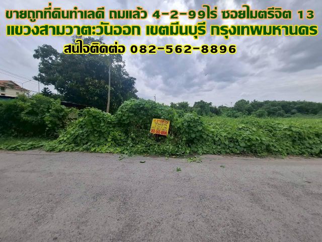 ขายถูกที่ดินทำเลดี ถมแล้ว 4-2-99ไร่ ซอยไมตรีจิต 13
