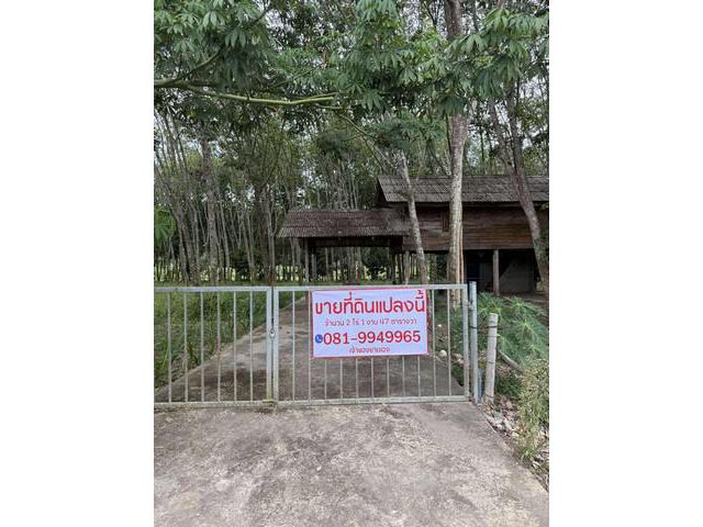 ขายที่ดิน อำเภอ หาดใหญ่ จังหวัด สงขลา เนื้อที่ 2 ไร่ 1 งาน 47 ตาร