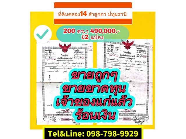 #ที่ดินคลอง14ลำลูกกา ปทุมธานี  200 ตร.ว 490,000  ขายถูกๆ  มาอีก 2 แปลง คนขายอายุเยอะขายขาดทุน คนขายร้อนเงิน