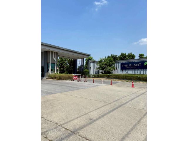 ให้เช่าบ้านเดี่ยว THE PLANT รังสิต-คลองสาม