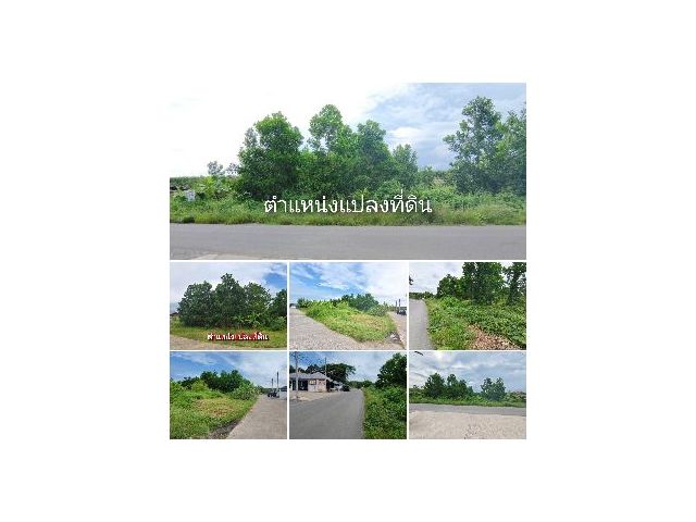 ขายที่ดินสวย ใจกลางเมือง ใกล้ถนนตากสิน  ต.ท่าช้าง อ.ท่าช้าง จ.จันทบุรี