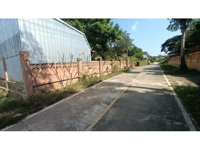ขายที่ดินตำบลป่าแดดติดถนนล้อมรั้วเรียบร้อยพร้อมโอน