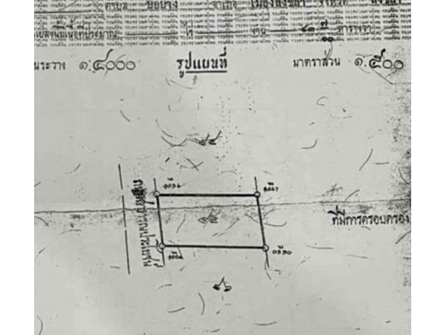 ขายที่ดินควนสันติ