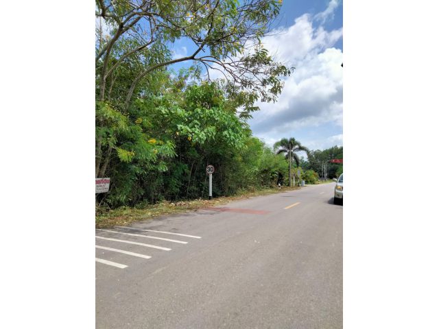 ขายที่ดินติดถนน ทำเลดี ใกล้แยกทุ่งคา