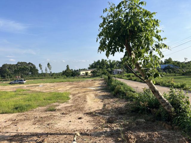 ขายที่นา ที่สวนปราจีน เนื้อที่ 3 ไร่ 38 ตารางวา ใกล้ถนนสี่เลนท์เส้น 33 ประมาณ 800 เมตร