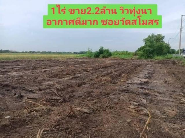 1ไร่ ขาย2.2ล้าน ซอยวัดสโมสร ต.ไทรใหญ่ ทำเลอยุ่อาศัย วิวทุ่งนา อากาศดี (งดนายหน้า)