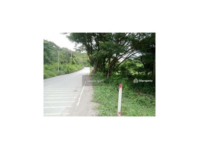 ขายที่ดิน 2 แปลงสวยๆ ตั้งอยู่ใกล้กัน ต.หนองปลาไหล อ.เมือง จ.สระบุรี