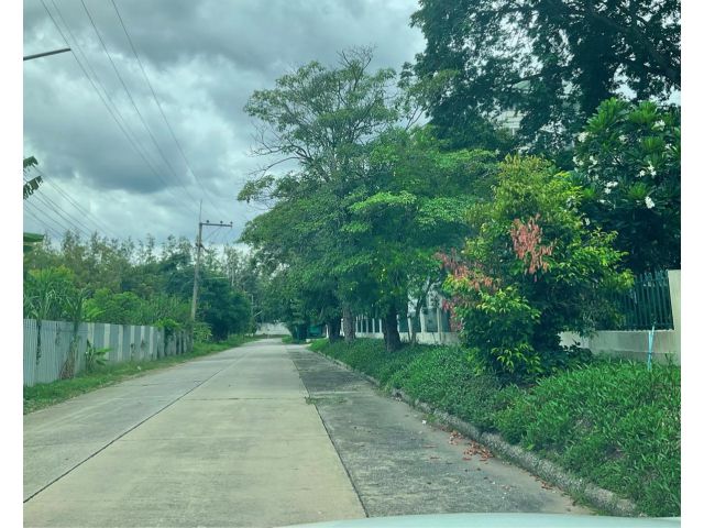 ที่ดินแบ่งขายบ้านสวนตะวันธรรม ติดวัดพระธรรมกาย