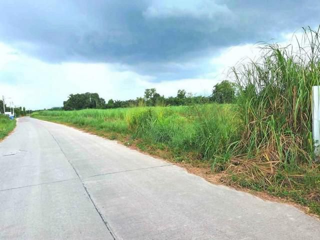 ขายที่ดินสวยราคาถูกหนองบอนแดง บนเนื้อที่ดิน 25-0-51 ไร่