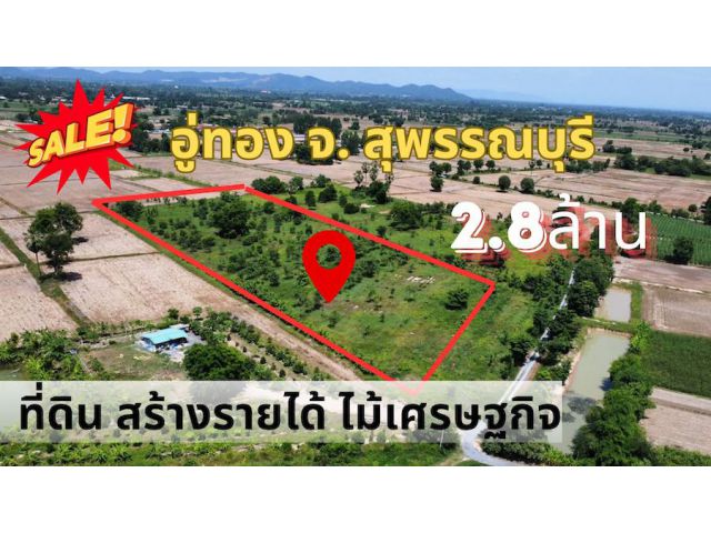ทีดินสวนป่า อู่ทอง จ. สุพรรณบุรี ขนาด 10 ไร่ ปลูกต้นไม้เต็ม