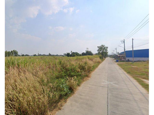 ขายที่ดินหนองหงษ์ 4 ไร่ ติดถนนบ้านไร่-หนองกาน้ำ ใกล้ถนน3023-500เมตร อ.พานทอง ชลบุรี