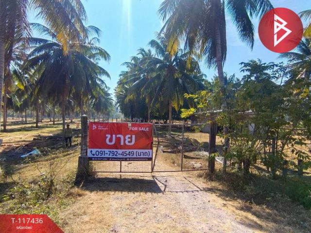 ขายที่ดินเปล่า เนื้อที่ 20 ไร่ 1 งาน 5 ตร.วา บางสะพานน้อย ประจวบคีรีขันธ์