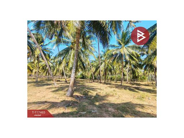 ขายที่ดิน เนื้อที่ 15 ไร่ บางสะพานน้อย ประจวบคีรีขันธ์