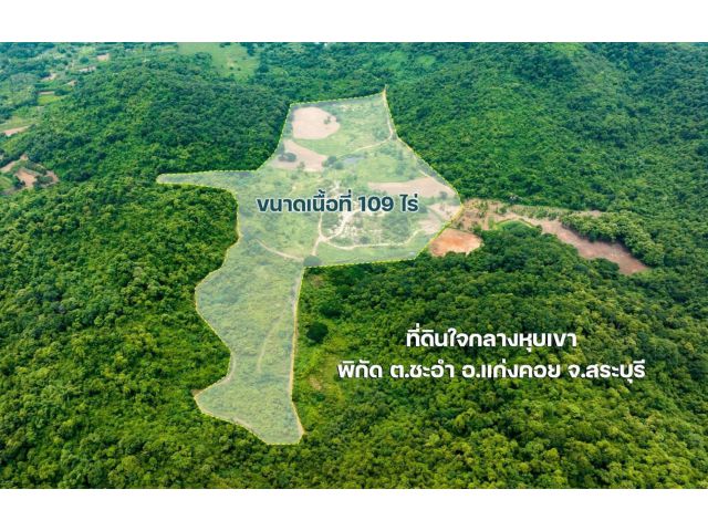 ขายที่ดินแปลงใหญ่ วิวภูเขา เหมาะสำหรับสร้างบ้านพักอาศัย รีสอร์ท สถานที่เที่ยว และทำสวนทุเรียน น้ำสมบูรณ์ คุ้มค่ากับราคา