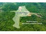 ขายที่ดินแปลงใหญ่ วิวภูเขา เหมาะสำหรับสร้างบ้านพักอาศัย รีสอร์ท สถานที่เที่ยว และทำสวนทุเรียน น้ำสมบูรณ์ คุ้มค่ากับราคา