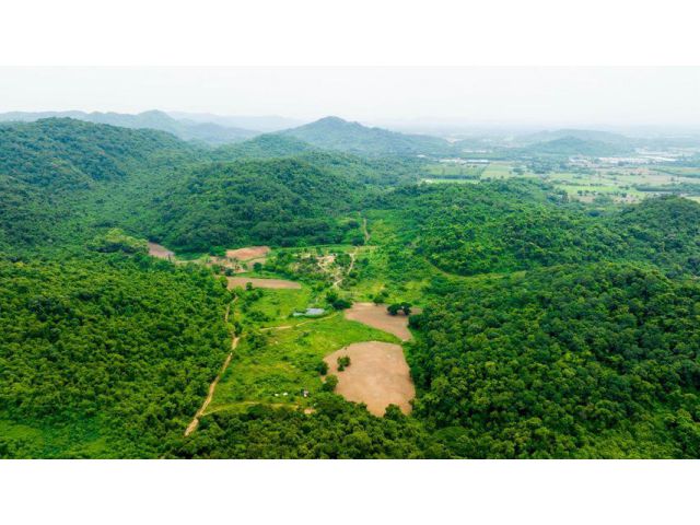 ขายที่ดินแปลงใหญ่ วิวภูเขา เหมาะสำหรับสร้างบ้านพักอาศัย รีสอร์ท สถานที่เที่ยว และทำสวนทุเรียน น้ำสมบูรณ์ คุ้มค่ากับราคา
