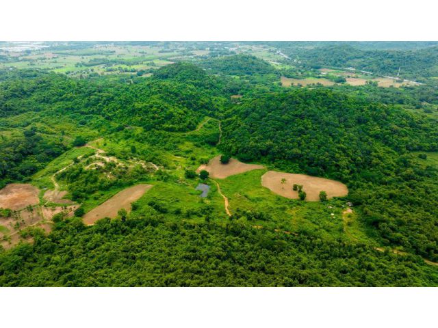 ขายที่ดินแปลงใหญ่ วิวภูเขา เหมาะสำหรับสร้างบ้านพักอาศัย รีสอร์ท สถานที่เที่ยว และทำสวนทุเรียน น้ำสมบูรณ์ คุ้มค่ากับราคา