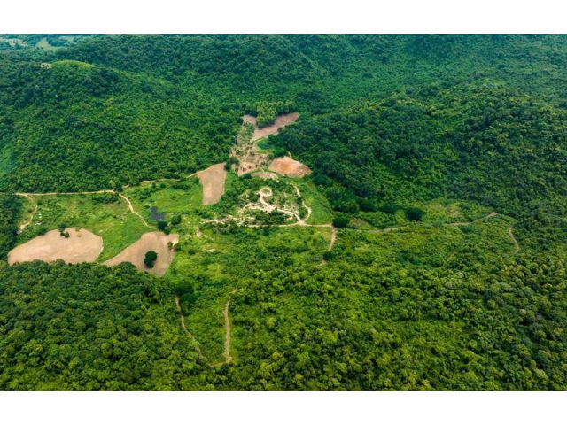 ขายที่ดินแปลงใหญ่ วิวภูเขา เหมาะสำหรับสร้างบ้านพักอาศัย รีสอร์ท สถานที่เที่ยว และทำสวนทุเรียน น้ำสมบูรณ์ คุ้มค่ากับราคา