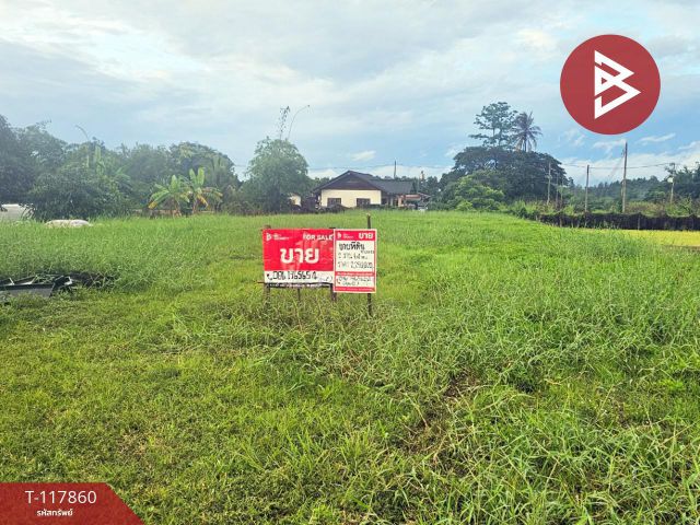 ขายที่ดิน เนื้อที่ 2 งาน 64 ตร.วา สันทราย เชียงใหม่