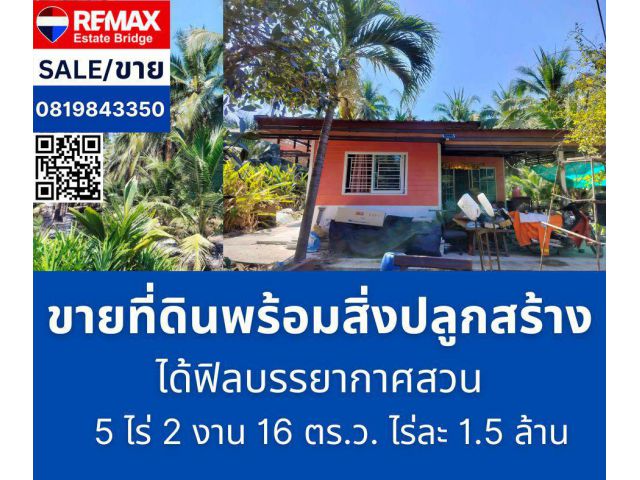 ขายที่ดิน สวนมะพร้าว 5 ไร่ 2 งาน 16 ตรว. พร้อมบ้าน 2 หลัง