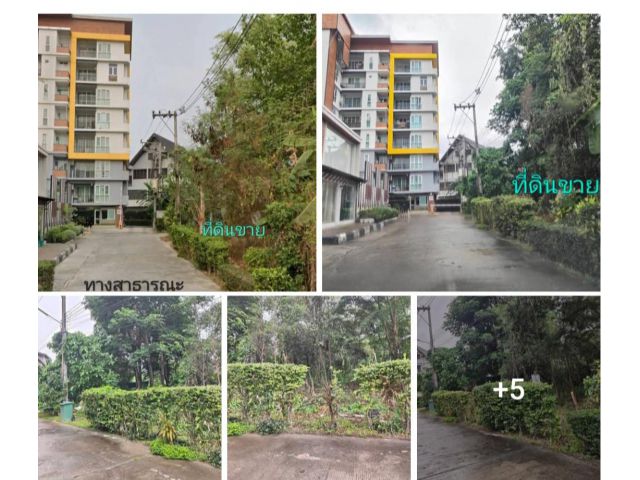 #*ขายที่ดิน250ตร.ว.อยู่ถนนชมดอย ต.ช้างเผือก ใกล้กับศูนย์ประชุมนานาชาติ700ปี ขายถูกๆ