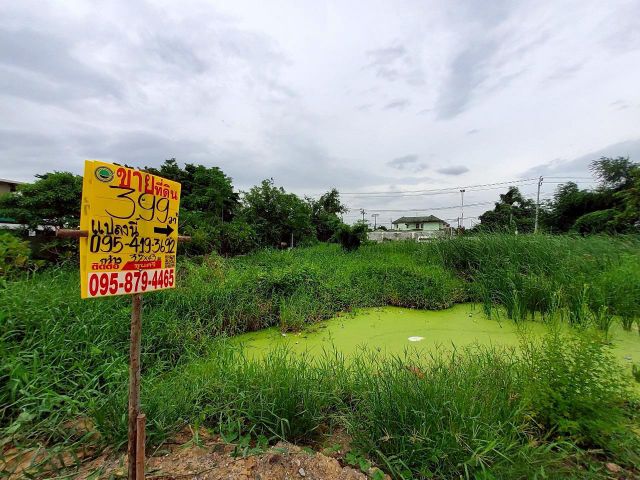 ขายด่วนที่ดินติดคลองลาดปลาดุก 399 ตรว แปลงมุม ช.โรงเรียนสากลศึกษา อ.บางบัวทอง จ.นนทบุรี