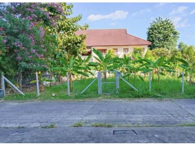 ขายที่ดินตำบลสุเทพหลังมหาวิทยาลัยเชียงใหม่พร้อมโอน