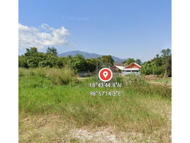 ขายที่ดินตำบลสันผักหวานหางดงห่างบ้านขวัญเวียงเพียง 650 เมตร