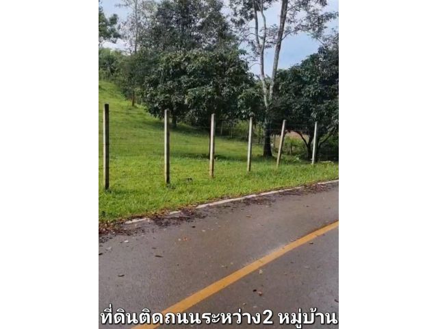 ขายที่ดินบ้านโป่งกุ่มดอยสะเก็ตห่างน้ำพุร้อนเพียง 500เมตร