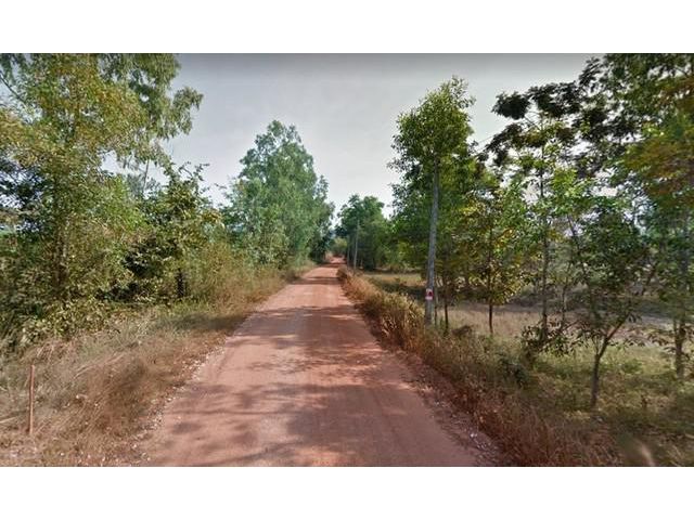 ขายที่ดินพร้อมสวนปาล์ม 10ไร่ ถูกมาก ที่ดินติดถนนลาดยาง ปราจีนบุรี