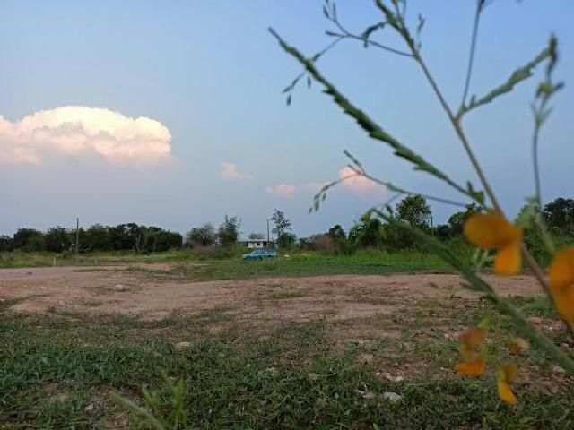 ขายที่ดิน กรุงเทพ ที่ดินโซนหนองจอก-ถมแล้ว-ลดสุดๆ