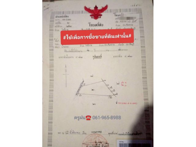 ขายที่ดินเหมาะสำหรับทำเกษตรสวนผสม/บ้านพักยามเกษียณ