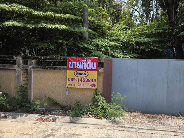 ขายที่ดิน ถนนสุขุมวิท101/1 วชิรธรรมสาทิต  191 ตร.ว แปลงสี่เหลี่ยมหน้ากว้าง ที่สวย เข้าจากถนนสุขุมวิทนิดเดียว