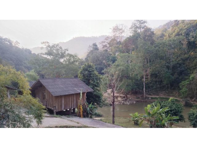 ขายที่ดินติดลำน้ำแม่แตงติดถนนติดภูเขาเอกสาร ภทบ 5 ราคาถูก