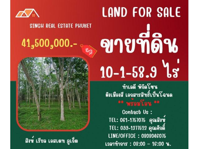 ** LAND FOR SALE ** ขนาดที่ดิน 10-1-58.9 - สวนยางพารา  ( ป่าครองชีพ - เทพกระษัตรี )