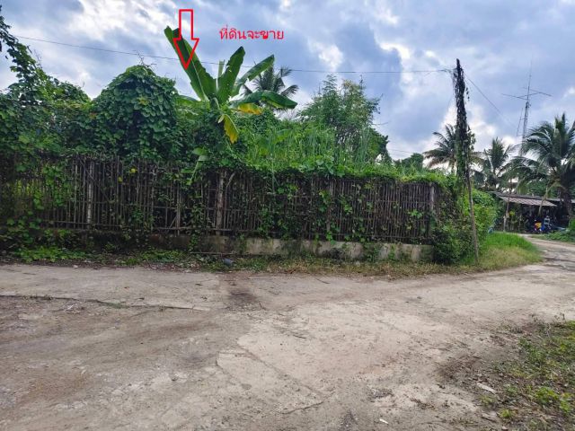 ขายที่ดินติดถนนสามด้านตำบลไชยสถานสารภีพร้อมโอน