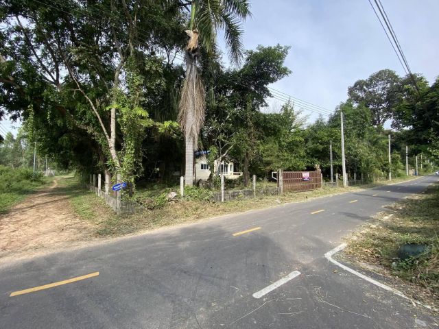 ขายบ้านพร้อมที่ดิน 1 ไร่เศษ