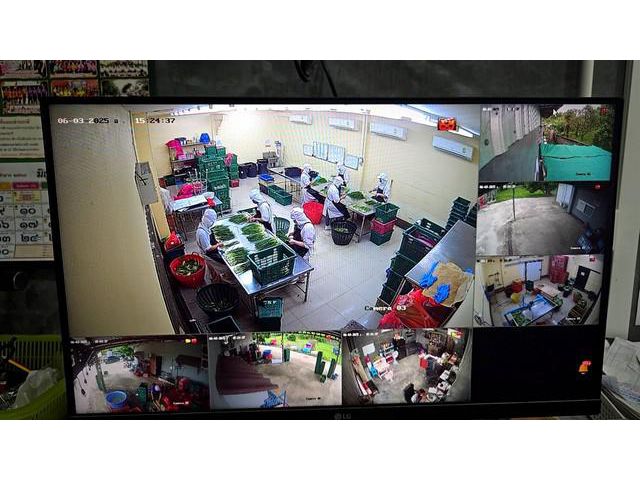 เซ้งกิจการจัดออเดอร์ ตัดแต่งผักสดส่ง CPRAM จังหวัดลำพูน