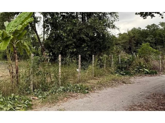 ขายที่ดินบ้านสันมะฮกฟ้าตำบลต้นเปาสันกำแพงพร้อมโอน