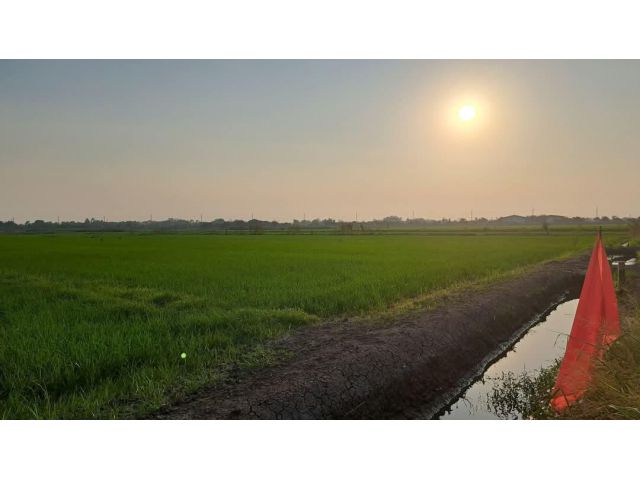 #ขายที่ดินฉโนด จ.อยุธยา แปลงสวย ราคาถูก 7-3-94.2 ไร่ ราคาไร่ละ 330,000 บ. เข้าตัวเมืองอยุธยาเพียง 15 นาที