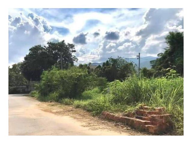 ขายที่ดินตำบลสุเทพในหมู่บ้านพิงค์พยอมถนนกว้างโฉนดพร้อมโอน