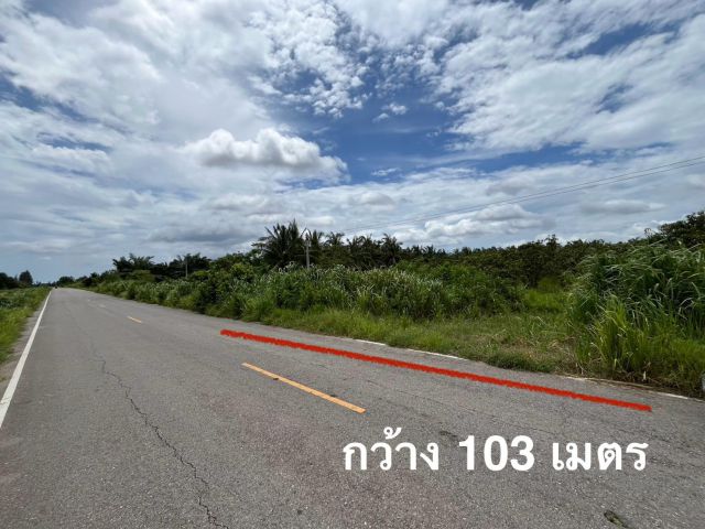 ขายที่ดิน อ.สามร้อยยอด ประจวบคีรีขันธ์ ติดถนนเลียบคลองชลประทาน ด้านหน้าติดถนนทุ่งเคล็ด-บางหนองไทร