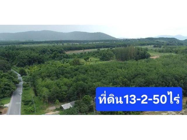 ขายที่ดินสวนยางราคาถูกเนื้อที่ 13ไร่ 2งาน50ตร.วาใกล้ตลาดบ้านคา 7-11 ซีเจ ตัวอำเภอบ้านคา รสต.บ้านคา600 เมตร
