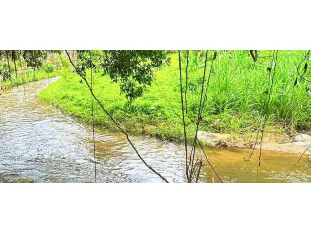 ขายบ้านสวนติดลำธารน้ำเทพเสด็จดอยสะเก็ตบ้านปางจำปี