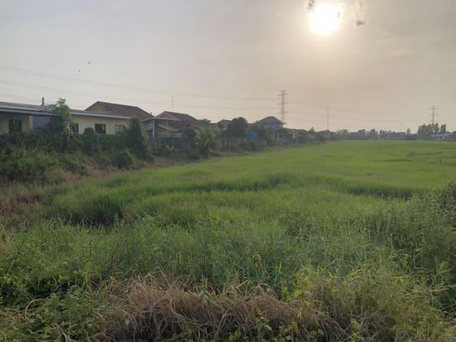 ขายที่ดินจัดสรร 150 ตรว. ขาย 370,000 บาท ตำบลวังทอง อำเภอวังทอง จังหวัดพิษณุโลก