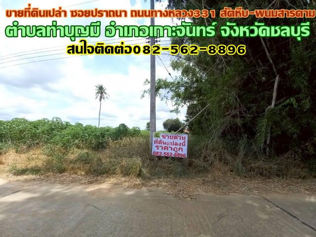 ขายที่ดินเปล่า ซอยปราถนา ถนนทางหลวง331 สัตหีบ-พนมสารคาม