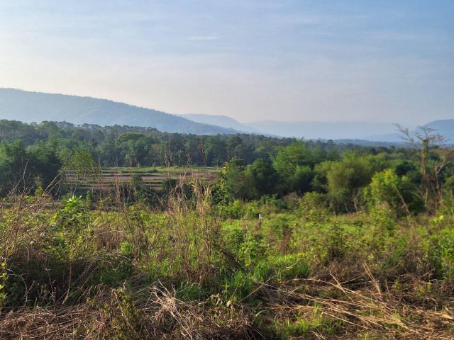 ที่ดินเลย อ.ภูเรือ  ที่เนินเขาวิวสวย ขาย 2-6 ไร่ ใกล้ภูเรือ