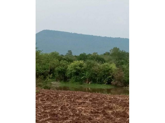 ขายที่ดินขุมทรัพย์ติดลำน้ำวิวเขา 4 ไร่ คลองม่วง วังไทร ปากช่อง ขายถูก เหมาะซื้อเก็บไว้เกร็งกำไร ทำบ้านพัก ติดถนน ใกล้เส้