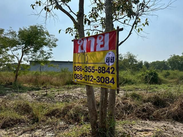 ขายที่ดิน 2 ไร่  คลอง9 ถนนรังสิต-นครนายก  บึงสนั่น  ธัญบุรี  ปทุม